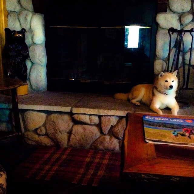 全国青少年足球裁判员“线上+线下”培训体系全面升级，足球裁判报名