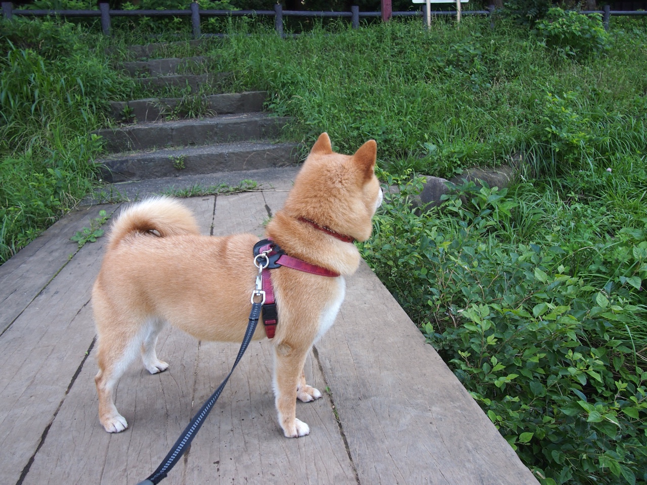 北京、上海、深圳等城市建设特色篮球文化街区，中国篮球文化城市
