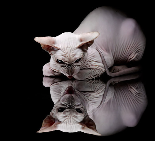 九游app官网下载-_壮丽登山：登顶喜悦与挑战并存_，壮丽山峰