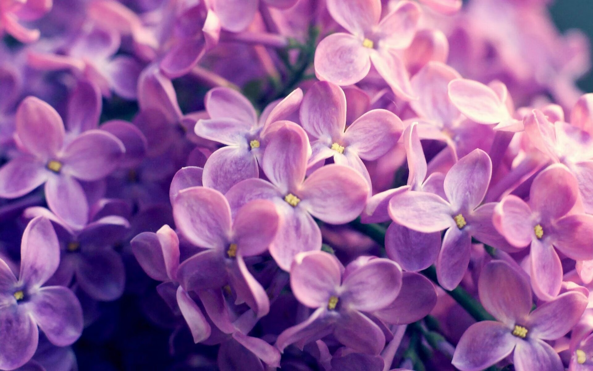 JIU YOU GAME-“攻守转换瞬间，战术布局缜密，比赛充满策略与智慧”，攻守战术分别包括